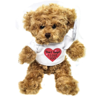 Valentine's Day Teddy - Cute and cuddly Valentines Day Teddy to add to your flower order.